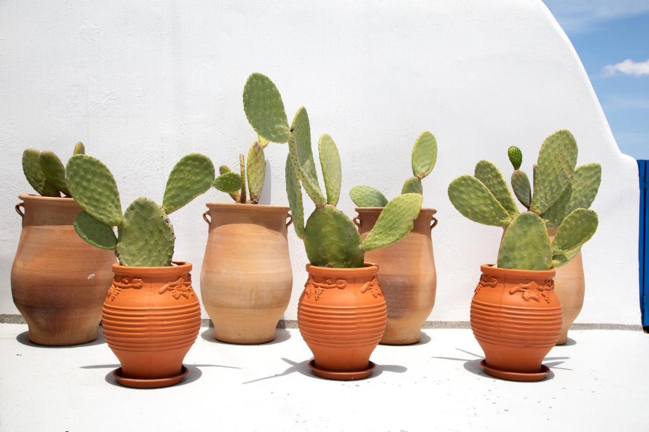 Amphora Villas Santorini Akrotiri Akrotírion 외부 사진
